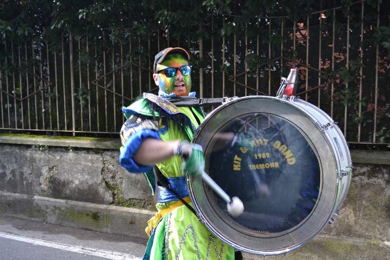 carnevale_porto_ceresio_2014 (053).jpg